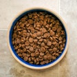 Rethink minerals to boost pet health and build lasting loyalty