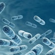 Aug2025 Biotics Istock com