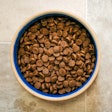 Rethink minerals to boost pet health and build lasting loyalty