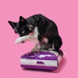 Communication, freshness, convenience and sustainability rank among packaging priorities for pet food.