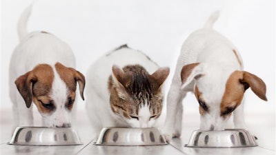 For the Pet Food Institute (PFI) and its members, the safety of pet food is of the highest priority.