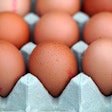 Eggs are a complete, bioavailable protein with many potential uses in pet food formulations.