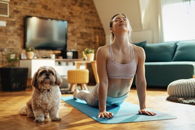 Microalgae Is the Answer to a Rich and Sustainable Pet Nutrition