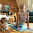 Microalgae Is the Answer to a Rich and Sustainable Pet Nutrition