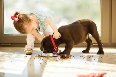 New pet food labeling guidelines will bring nutrition labels in line with those on human food products.