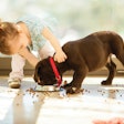 New pet food labeling guidelines will bring nutrition labels in line with those on human food products.