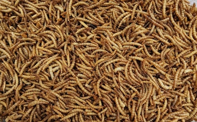 Insectflux transforms food waste and organic byproducts into high-value, climate-smart solutions by connecting food producers, insect farms, and buyers across multiple industries from pet food and aquaculture to regenerative agriculture and more.