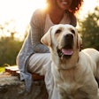 Probiotics for Pets: Select the Right Strains for Your Application