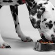 Product Freshness Pet Food Resource Center