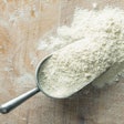 What’s on the horizon for pet food ingredients