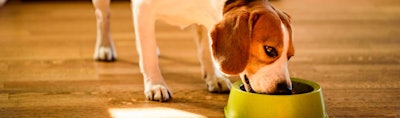 Modernizing pet food purchasing solutions, processes