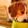 Modernizing pet food purchasing solutions, processes