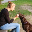 Pet owners are feeling the costs of pet ownership more now than ever, as prices for everything continue to increase.