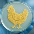 Petri Dish With A Chicken Made From Yeast Cells