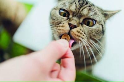 Pet food ingredient insights for new product development
