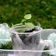 Plastic Waste With Green Plant Pixabay com