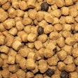 Up Close Pet Food Andrea Gantz