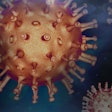 According to the ODA state veterinarian, most of the cats in the Portland area infected with avian influenza had eaten raw pet food.